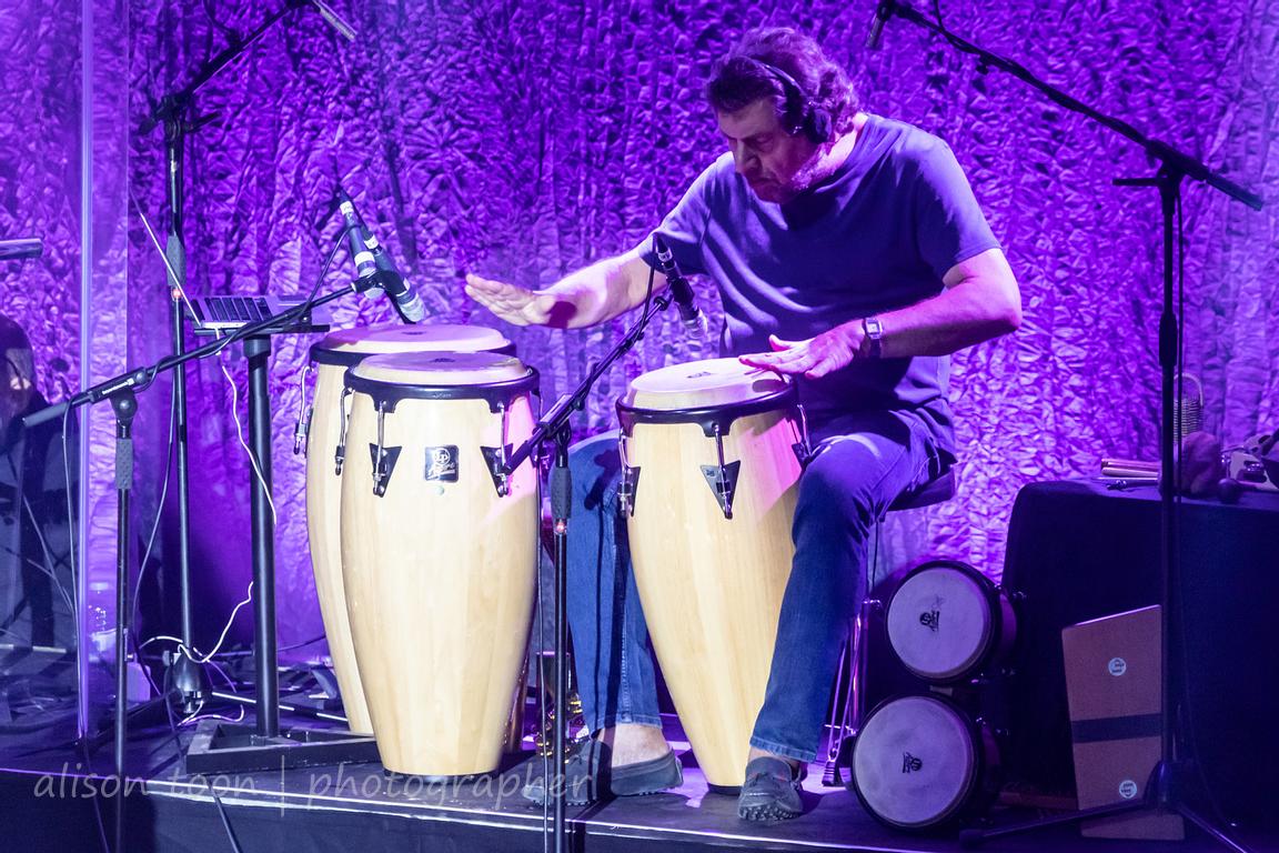 Luis Jardim